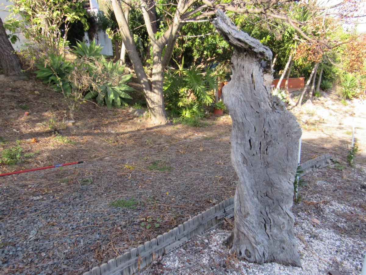 モンシケ My House - Casa Charmeヴィラ エクステリア 写真
